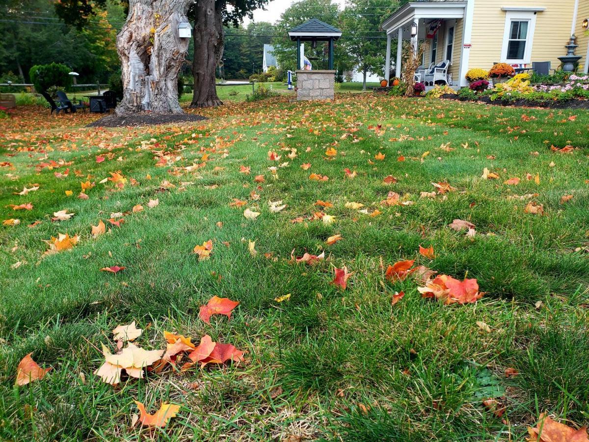 Elmere House Bed & Breakfast Wells Dış mekan fotoğraf
