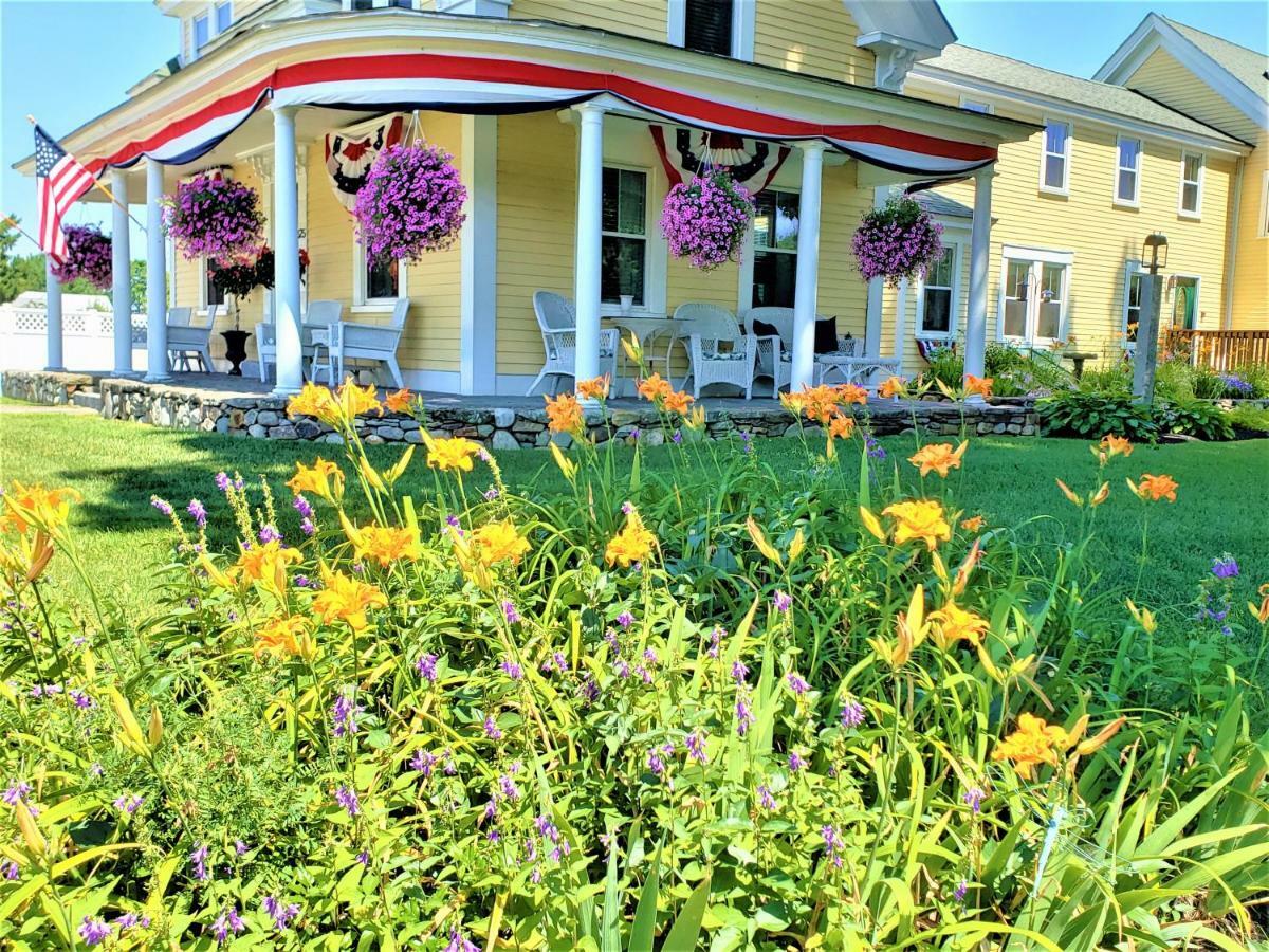 Elmere House Bed & Breakfast Wells Dış mekan fotoğraf