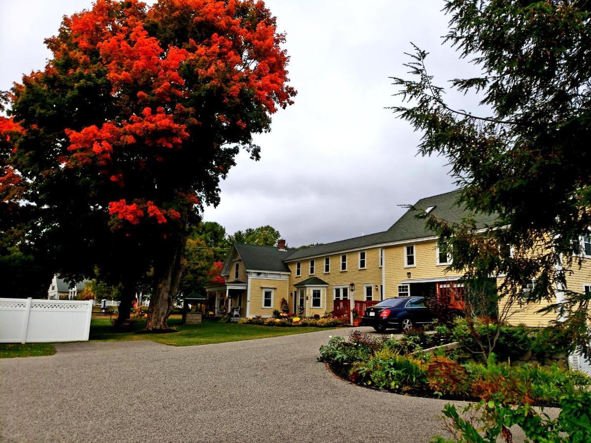 Elmere House Bed & Breakfast Wells Dış mekan fotoğraf